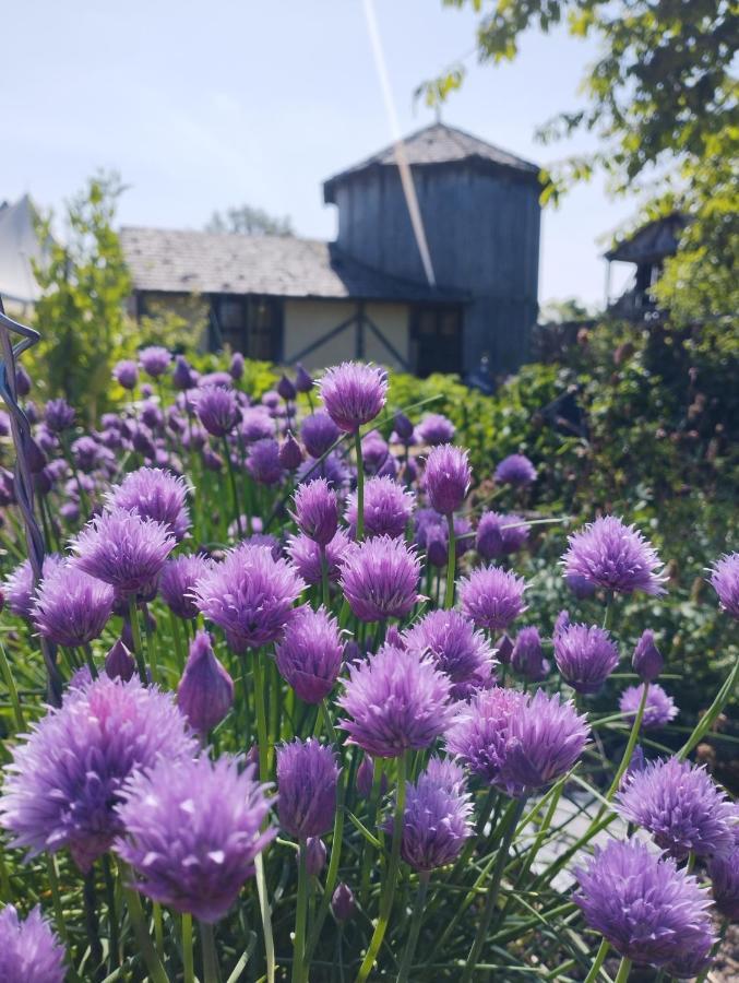 Domaine De La Ferte Clairbois Ξενοδοχείο Sainte-Suzanne  Εξωτερικό φωτογραφία